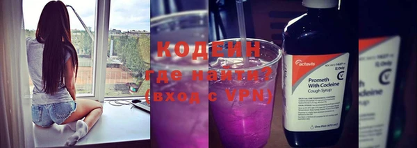 гашик Пересвет