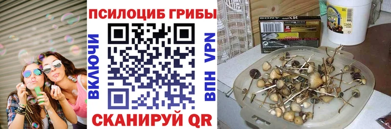 наркотики  Лукоянов  ОМГ ОМГ зеркало  Галлюциногенные грибы MAGIC MUSHROOMS 
